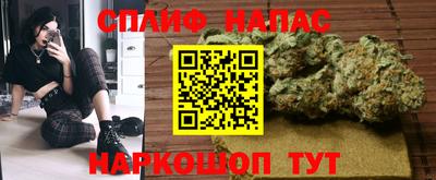 ALPHA PVP Гусев