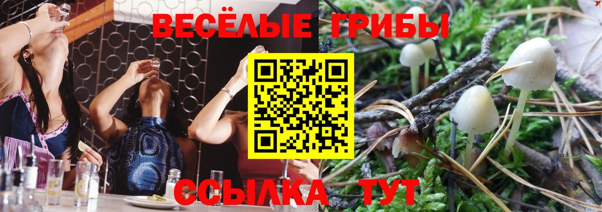 Галлюциногенные грибы прущие грибы Киреевск
