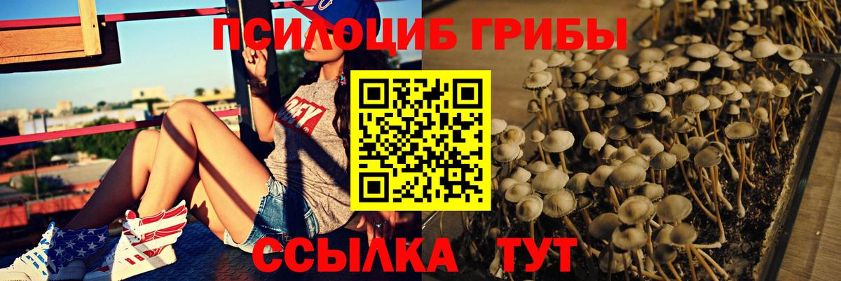 Киреевск  купить наркотик  Вход с VPN  Галлюциногенные грибы прущие грибы 